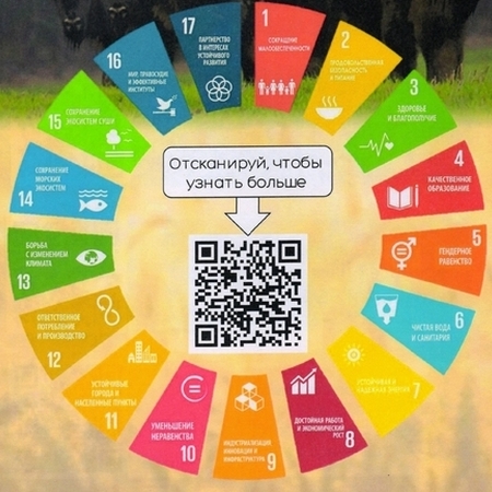 Платформа региональных данных по устойчивому развитию разработана в Беларуси
